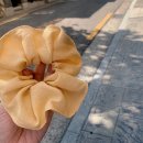 재봉틀 배우기(입문반) 이미지