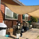 신기부화장 | 고성 아이와 가볼만한곳 공룡타조랜드 주말나들이는 여기