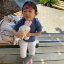 베어팜(주) 이미지