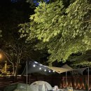 [캠핑후기🏕️🏕️] 폴러와 타프로 여름나기 성공, 봉화별 C사이트 후기 / 햅피한 생일캠핑 ✌️