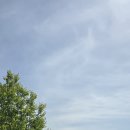 골든베이골프&리조트 | 서해 바다 뷰를 보며 라운딩 할 수 있는 골프장으로 유명한 골든베이 CC
