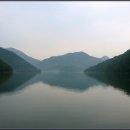 삼가향어 이미지