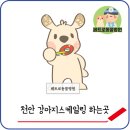 페트로 동물병원 이미지