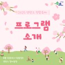 드래곤태권도 | 속초 가볼만한곳 핫플 영랑호 벚꽃축제