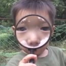 운병 | W05. 드레스샵 계약 후기 | 보태보태병 걸린 강경 실크파 예비신부 버전