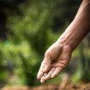 진흥농약사 이미지