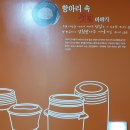 강경젓갈이야기 이미지
