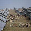 신화 태양광발전소 이미지