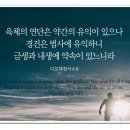 오늘의 묵상-디모데전서(1Timothy) 4장 7절에서 11절 이미지