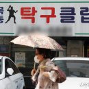 큰나무교회