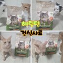 팜코 | 기호성좋은사료 해링턴펫푸드 우리집 냥이들 반응 찐후기