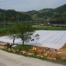 대식농장 이미지