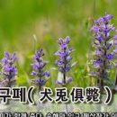교훈글-견토구폐(犬兔俱斃) 이미지