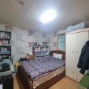 대구덕성초등학교 이미지