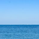 제주몽돌 이미지