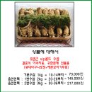 골드수삼