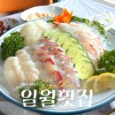 일월매운탕 | 강원도 속초 | 일월횟집 | 장사항 맛집 자연산 회 후기 (+속초오션뷰횟집, 스끼다시)