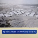 새동네1길 이미지