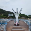대진항 해수욕장 네이버블로그