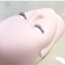 [수원속눈썹자격증학원] 속눈썹민간자격증 취득 및 취업, 창업정보 공유