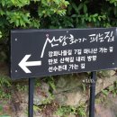 산당화가피는집