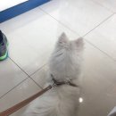 엉클장동물병원 이미지