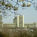 인천전문대학 이미지