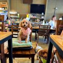 파주알곱창 이미지