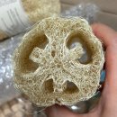 편백세상 | 천연 수세미부터 편백 방향제까지 | 장애인생산품 사용 후기 (고마운사람들)