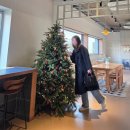 주식회사 피스피스 출판단지점 | 파주 출판단지 카페 디저트 맛집 추천, 파주 롯데아울렛 근처 카페 피스피스 출판단지점 내돈내산 후기