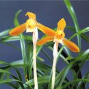 (주)금화 이미지