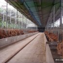 하나리농장 이미지