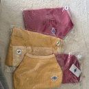 풀잎약국 | 제주 진드기의 계절이다, 그래서 강아지 외출복을 샀다 : 진드기 비켜!!!!