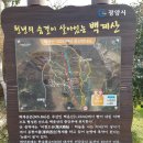옥룡사지 | 2023년 광양옥룡사지동백림 후기