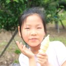 표선교회 이미지