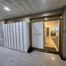 브라이튼 휘트니스(주) | 대전 둔산동 헬스장 브라이튼휘트니스 둔산점