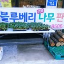 봉계농약사
