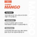 아이스야미