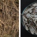 동정농장 이미지