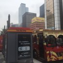 강남고속관광투어 이미지