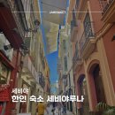 루나하우스 | 세비야 혼자여행 숙소 추천, 구시가지 한인 게스트하우스 세비야루나 후기