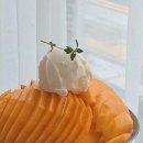 제이스맨션 이미지