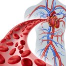 더찬스짐 역동점 이미지