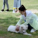 세상속가피 | 내하보스요취하 2 3-5화 줄거리 및 리뷰 : 스킨십이 많은 중드가 뭐냐고 묻는다면 그건 바로 내하보스라...
