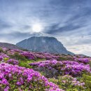 코너스톤브릿지 | [코너스톤브릿지 | 12월 3일 마케팅 소식] 공정위, 경품 응모용 후기도 광고 표시 의무 | 틱톡, 올해...