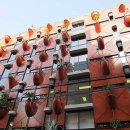 그린빌딩 이미지