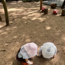 마음 한켠이 언제나 든든한 이유💕 / 풀리지 않는 숙제🤔해인나라 말 함께 번역해주세요~!! 이미지