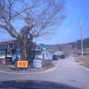 22 | 충남 청양 맛집 정여사고추장찌개 재방문 내돈내산 솔직 후기