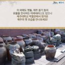 제주대학교박물관 이미지