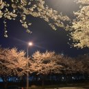 갑천로 이미지